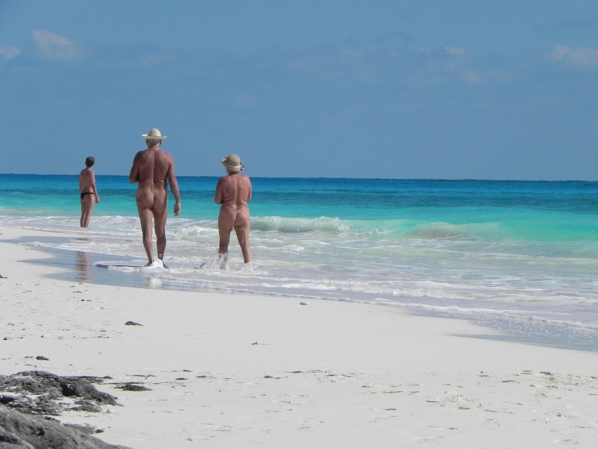 Bañistas en una playa nudista. 