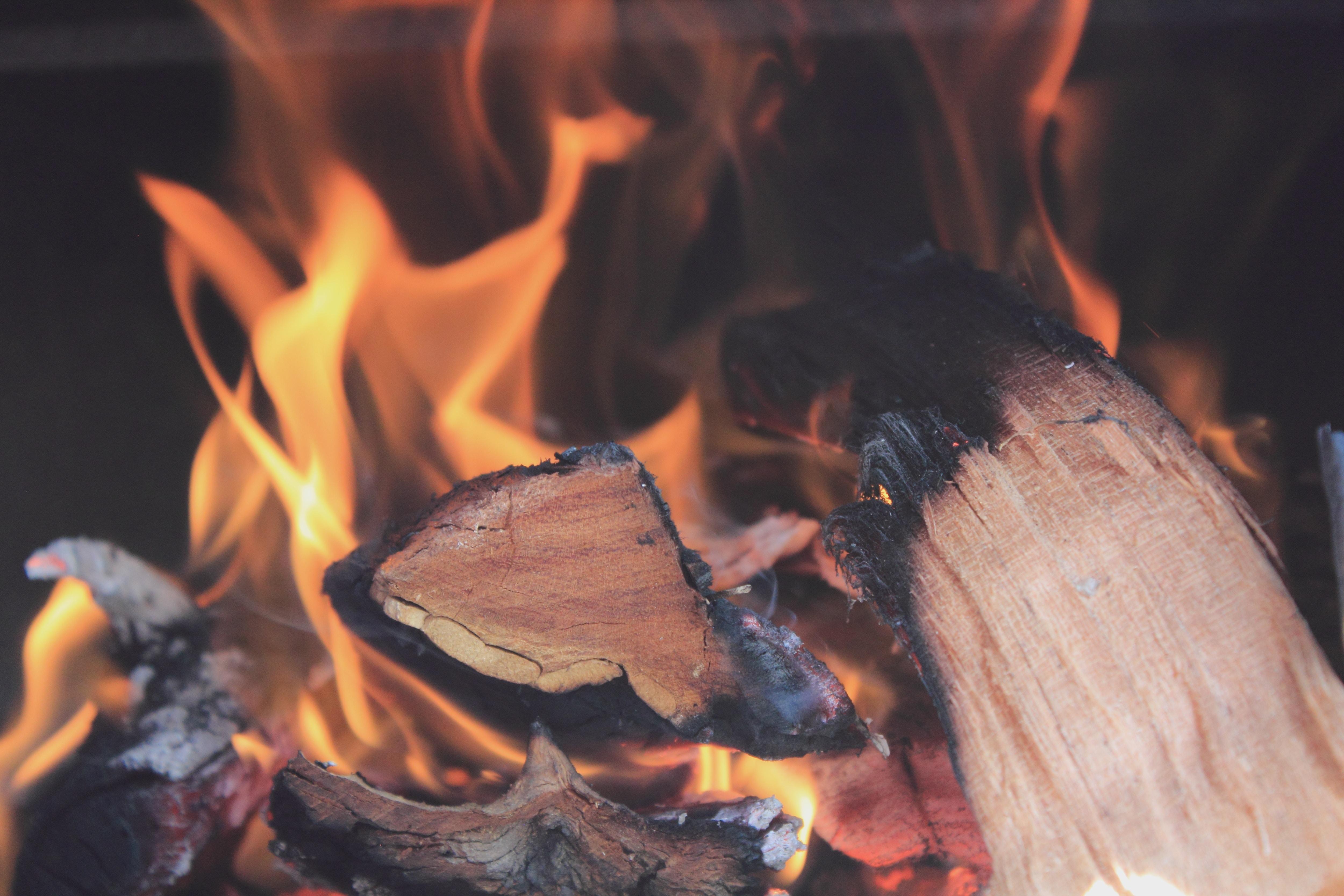 Obed Hernandez para Unsplash