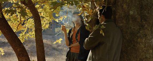 frases pelicula the wild pear tree ahlat agaci nuri bilge ceylan 5 opt frases pelicula the wild pear tree ahlat agaci nuri bilge ceylan 5 opt