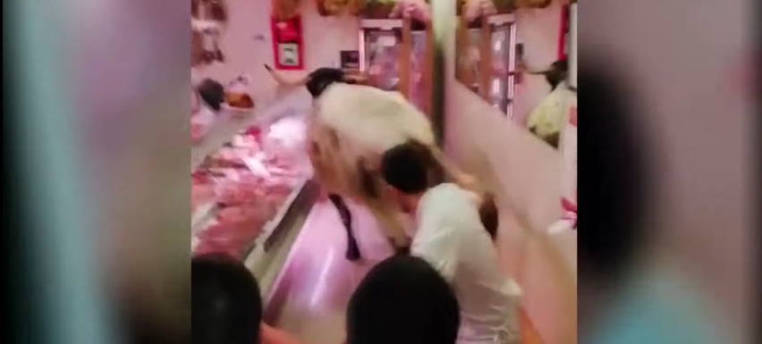 Momento en el que un toro se cuela en una carnicería de Estella (Navarra)