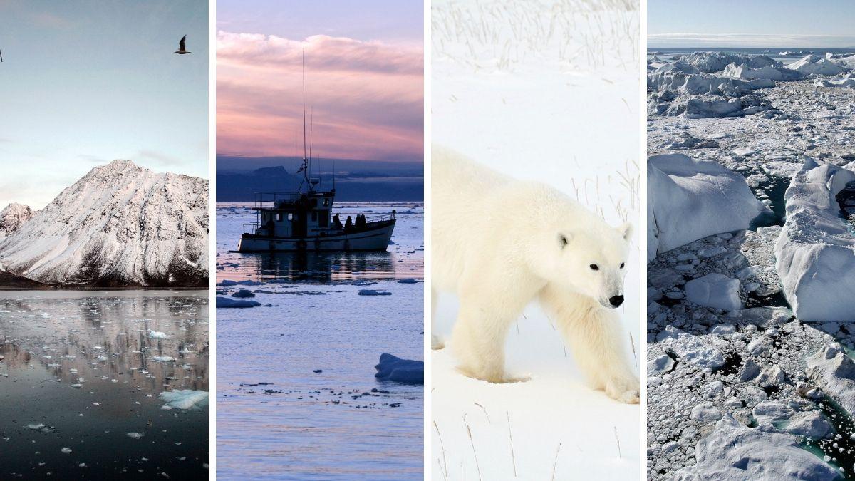 La exposición ‘El Ártico se rompe’ 