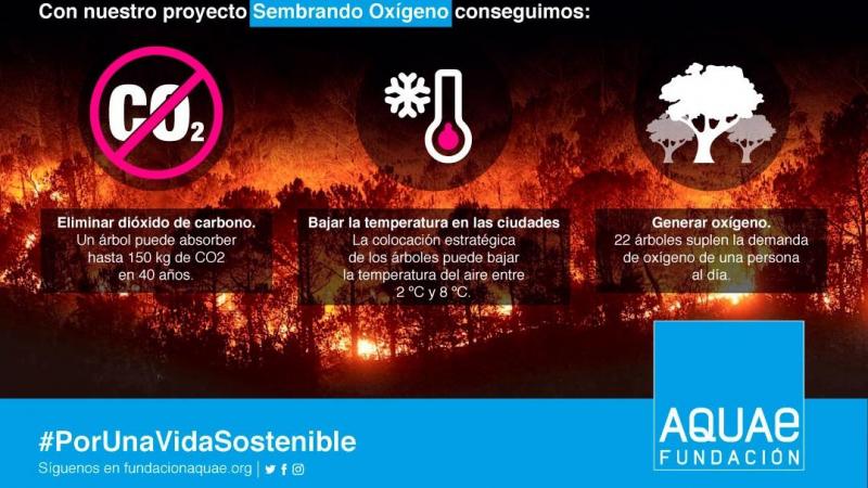 Infografía. Incendios forestales España Fundación Aquae