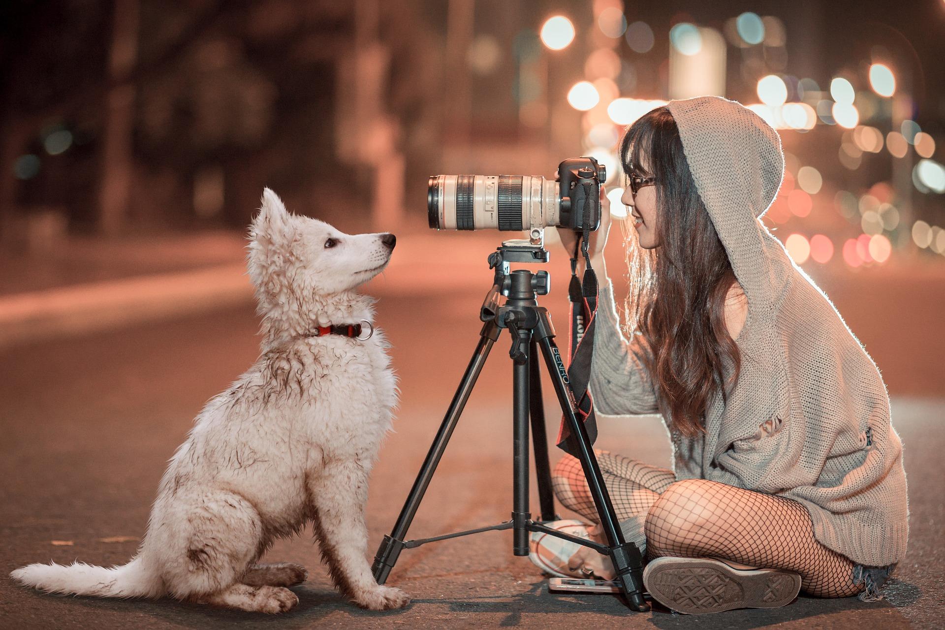 5 consejos para convertir en a tu mascota en influencer