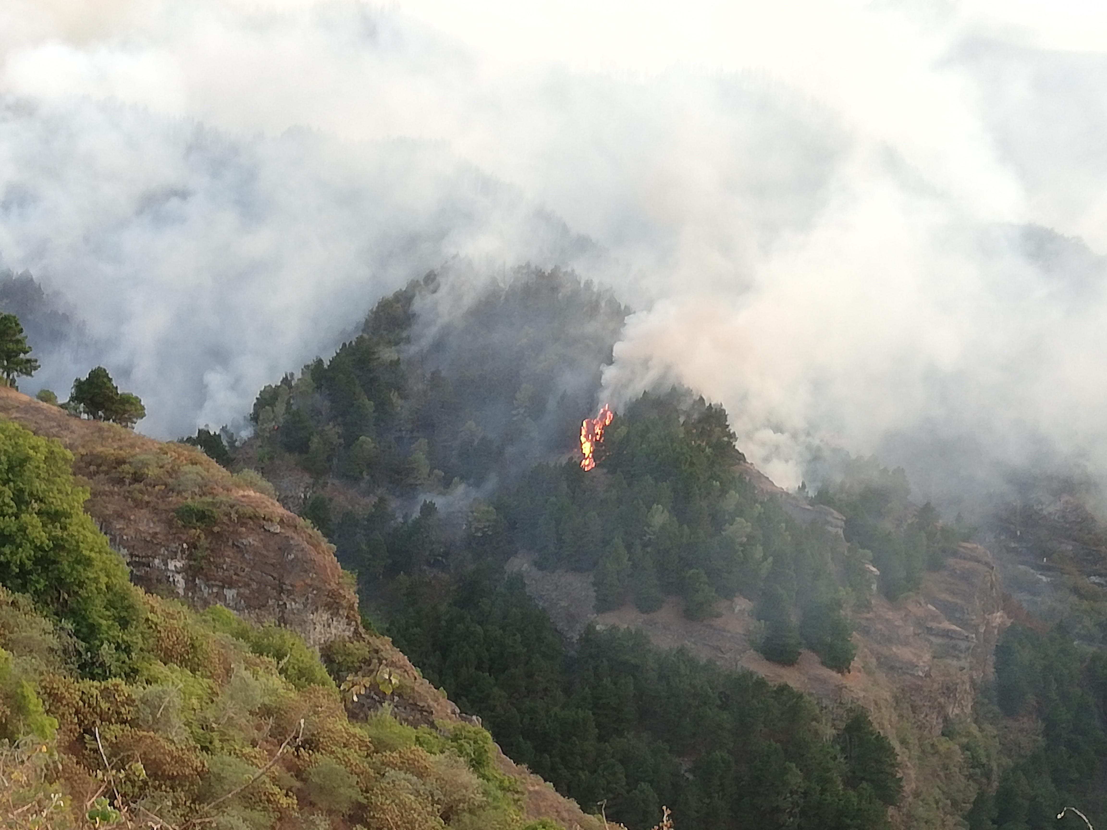 Incendio de Valleseco en la isla de Gran Canaria
