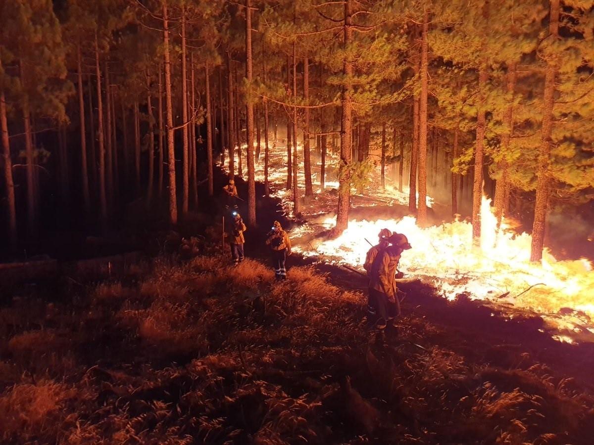 Incendio de Gran Canaria durante la pasada noche