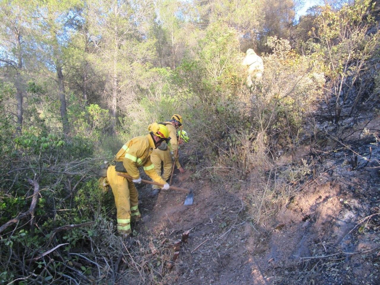 Tarea de extinción de un incendio forestal. Fuente: EP. 