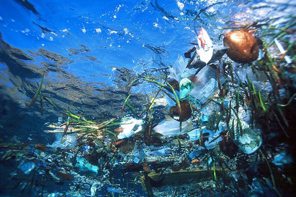 Plásticos en el Mar Mediterráneo 