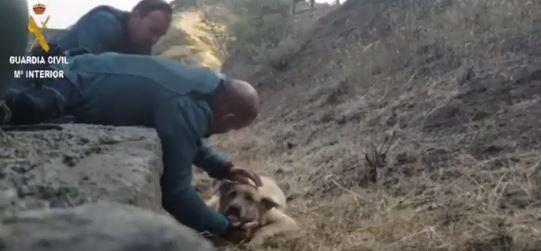 Dos agentes de la Guardia Civil salvando a un perro asustado 