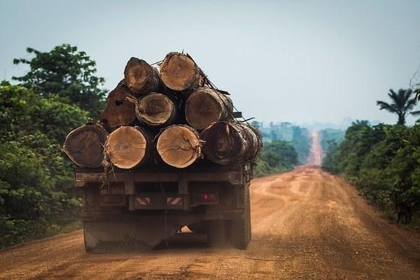 El Gobierno brasileño intenta desacreditar los datos que denuncian un aumento de la deforestación y no ofrece soluciones concretas