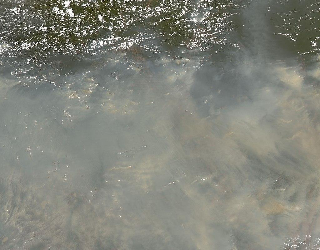 Nube del humo provocada por los fuegos sobre el Amazonas. Foto:NASA