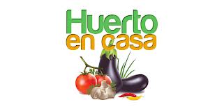 Nuestros destacados: un huerto en casa, una app propia de Wert, avisador de radares... Nuestros destacados: un huerto en casa, una app propia de Wert, avisador de radares...