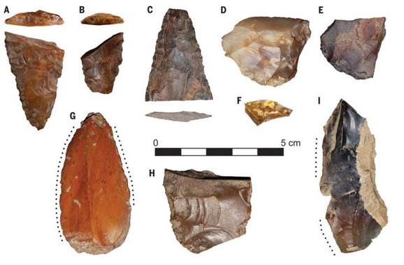 Estos son algunos de los fragmentos de piedra tallados para la caza y la pesca que se han encontrado en el yacimiento de Cooper's Ferry. / Loren Davis, Oregon State University, et al