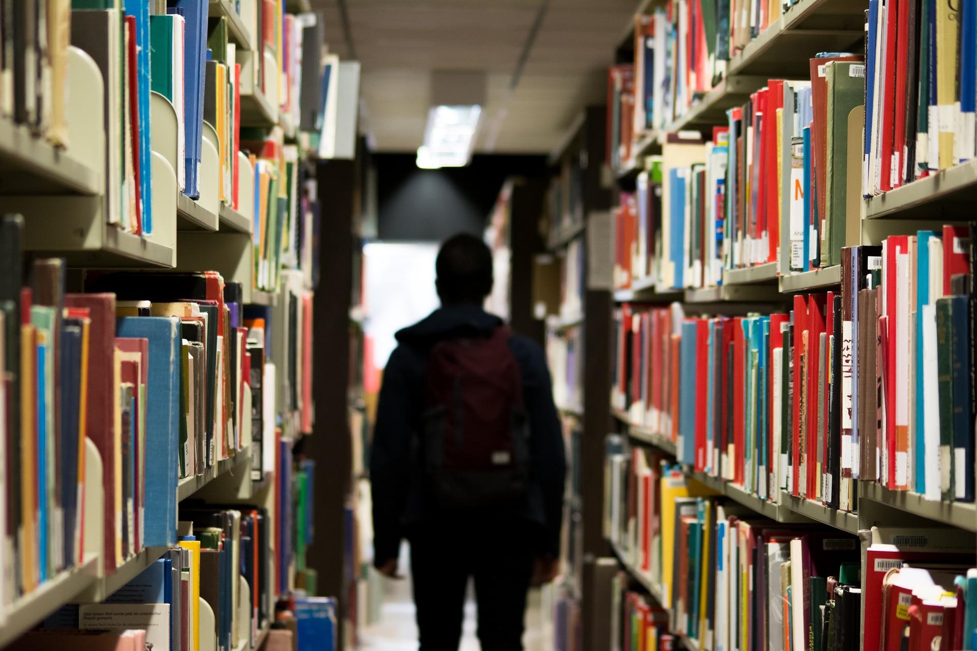 Un estudiante en una biblioteca. Fuente: Pixabay.