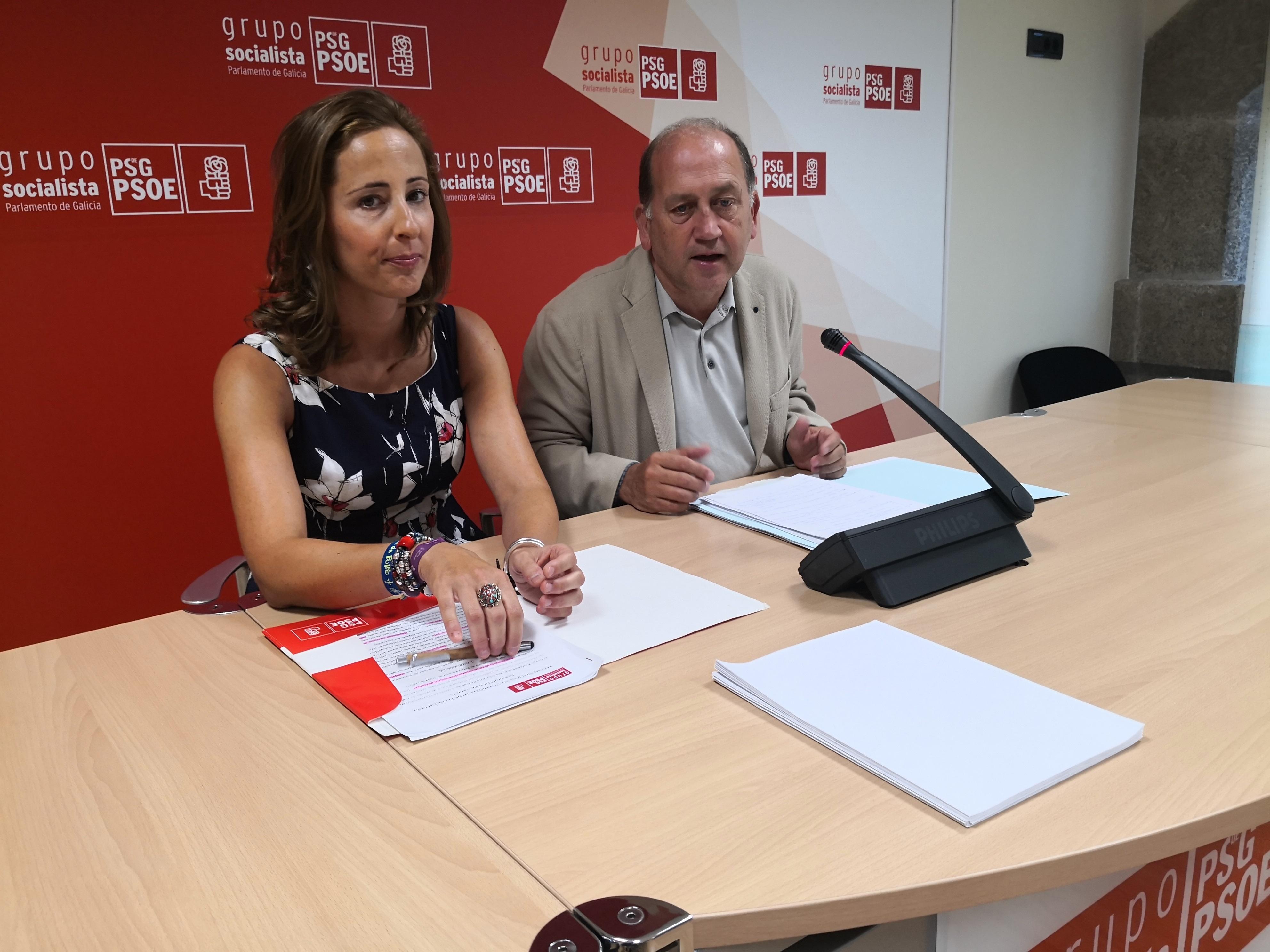El portavoz parlamentario del PSdeG, Xoaquín Fernández Leiceaga, y la diputada Noela Blanco. Fuente: Europa Press.