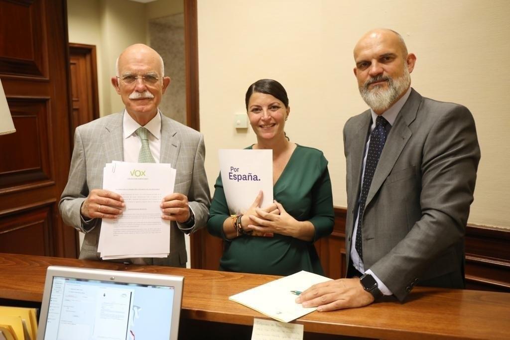 Agustín Rosety Macarena Olona y Víctor Sánchez del Real, diputados de Vox. Europa Press.