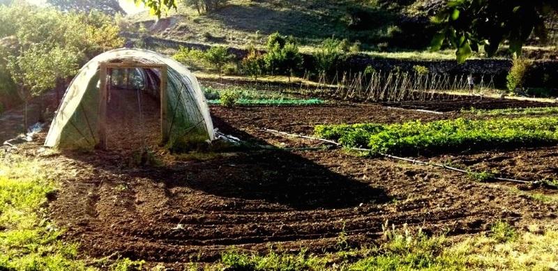 Huerta de la Asociación Agroecológica Albalá para la Inclusión Social