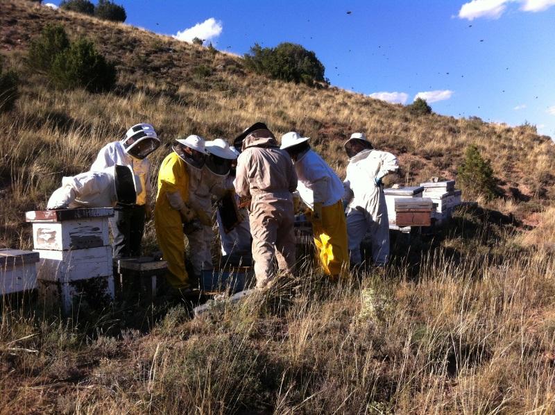 Jornada de apicultura en la Sierra Norte de Madrid. Fuente Turismo Sierra Norte