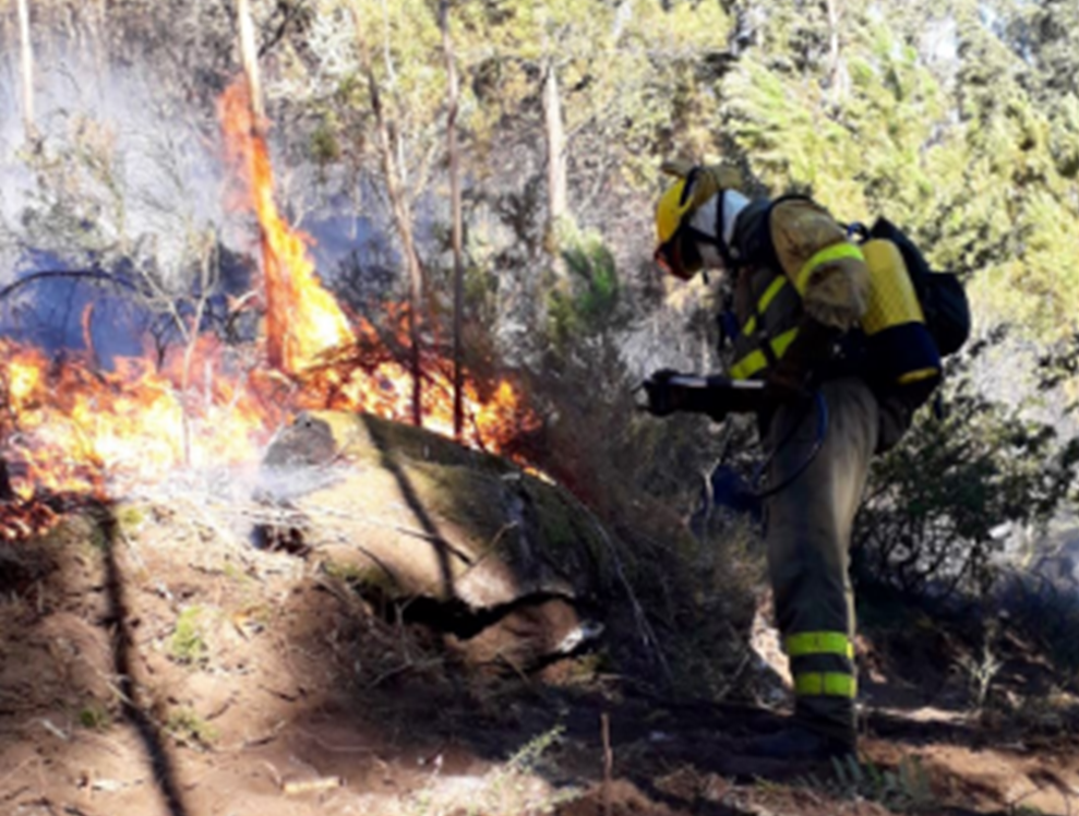 En el control del fuego trabajan 12 agentes y 22 brigadas. 