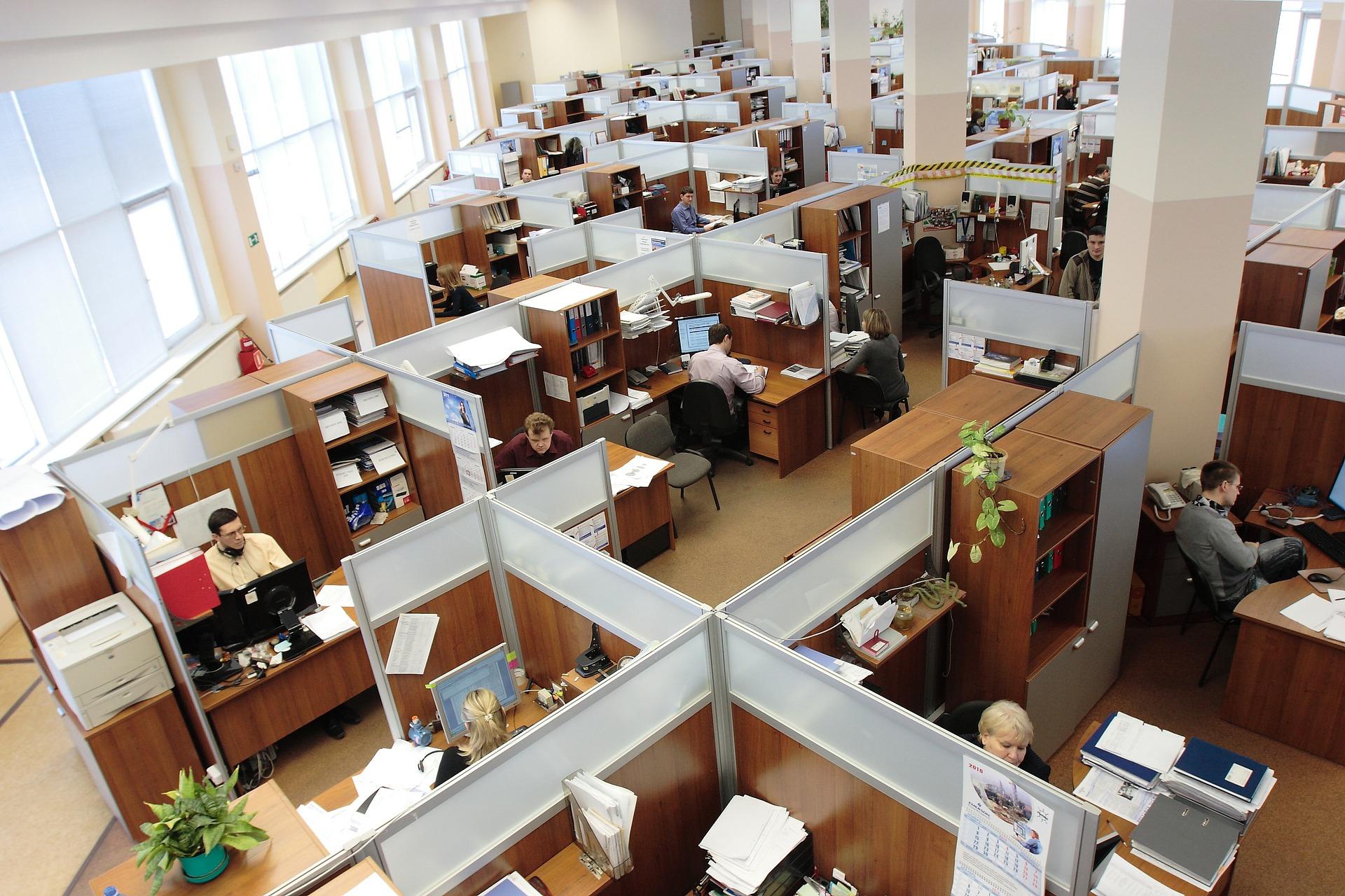 Trabajadores de una oficina. Fuente: Pixabay.
