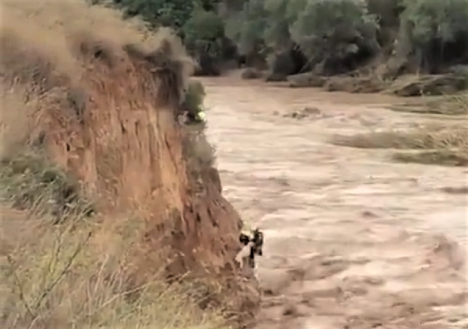 La Guardia Civil rescata a un perro en Valencia de morir ahogado por el temporal de la DANA. Twitter