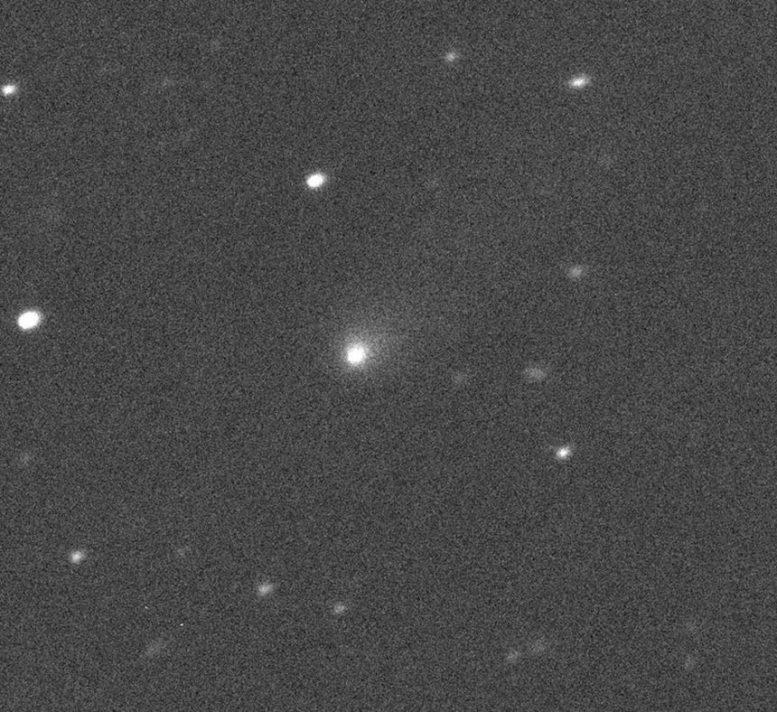 Cometa C2019 Q4. Foto: Canada France Hawaii Telescope