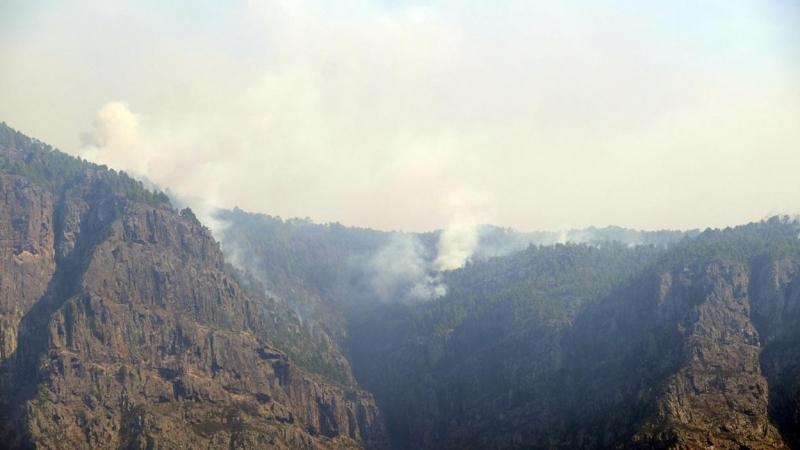 Parte de la zona afectada por el incendio de la isla de Gran Canaria. EP