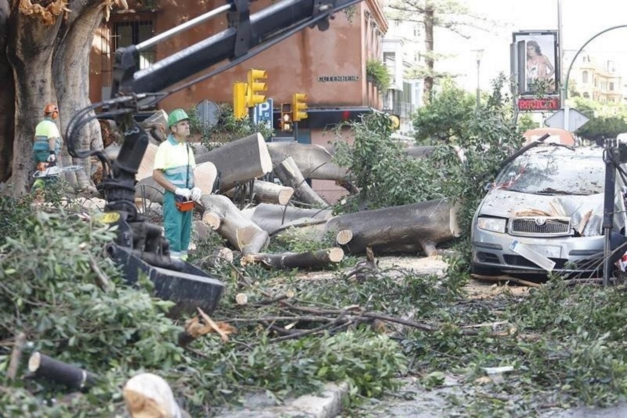 Últimos coletazos del temporal Dana en la provincia de Málaga. Europa Press