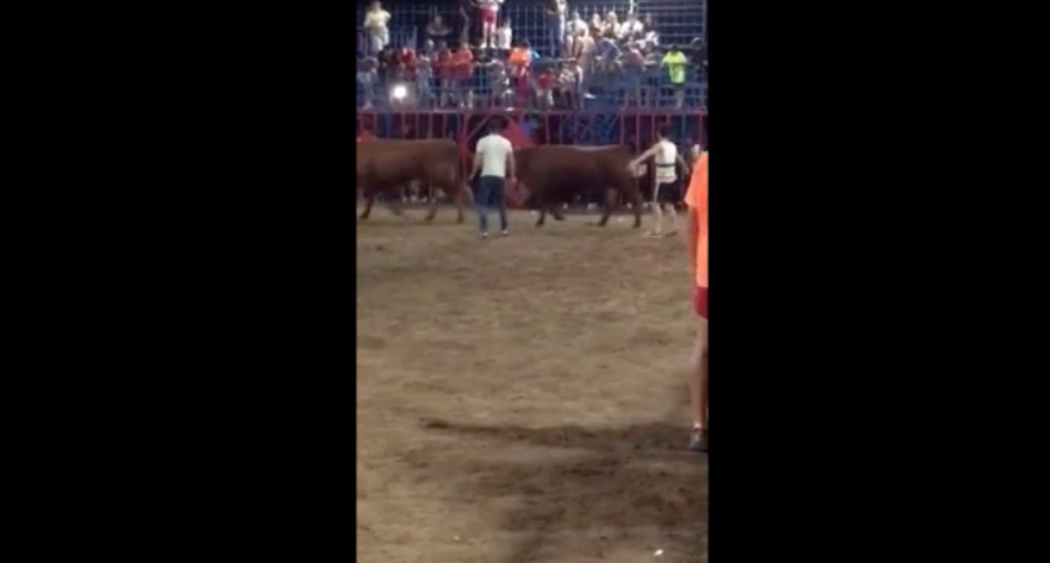 Un toro se ensaña con un niño de 12 años después de que cayera al ruedo