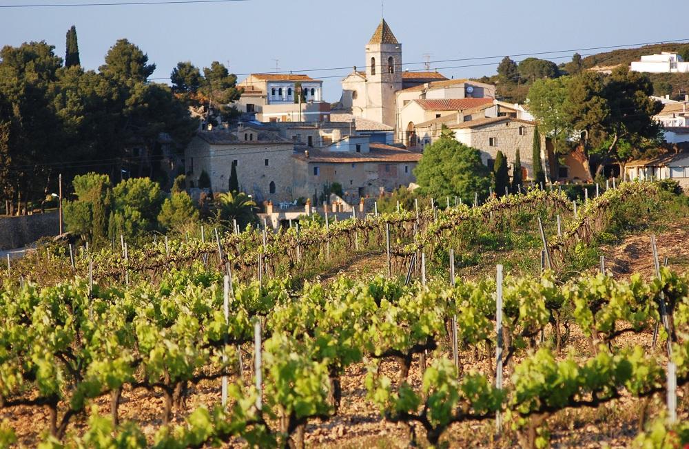 Avinyonet del Penedès