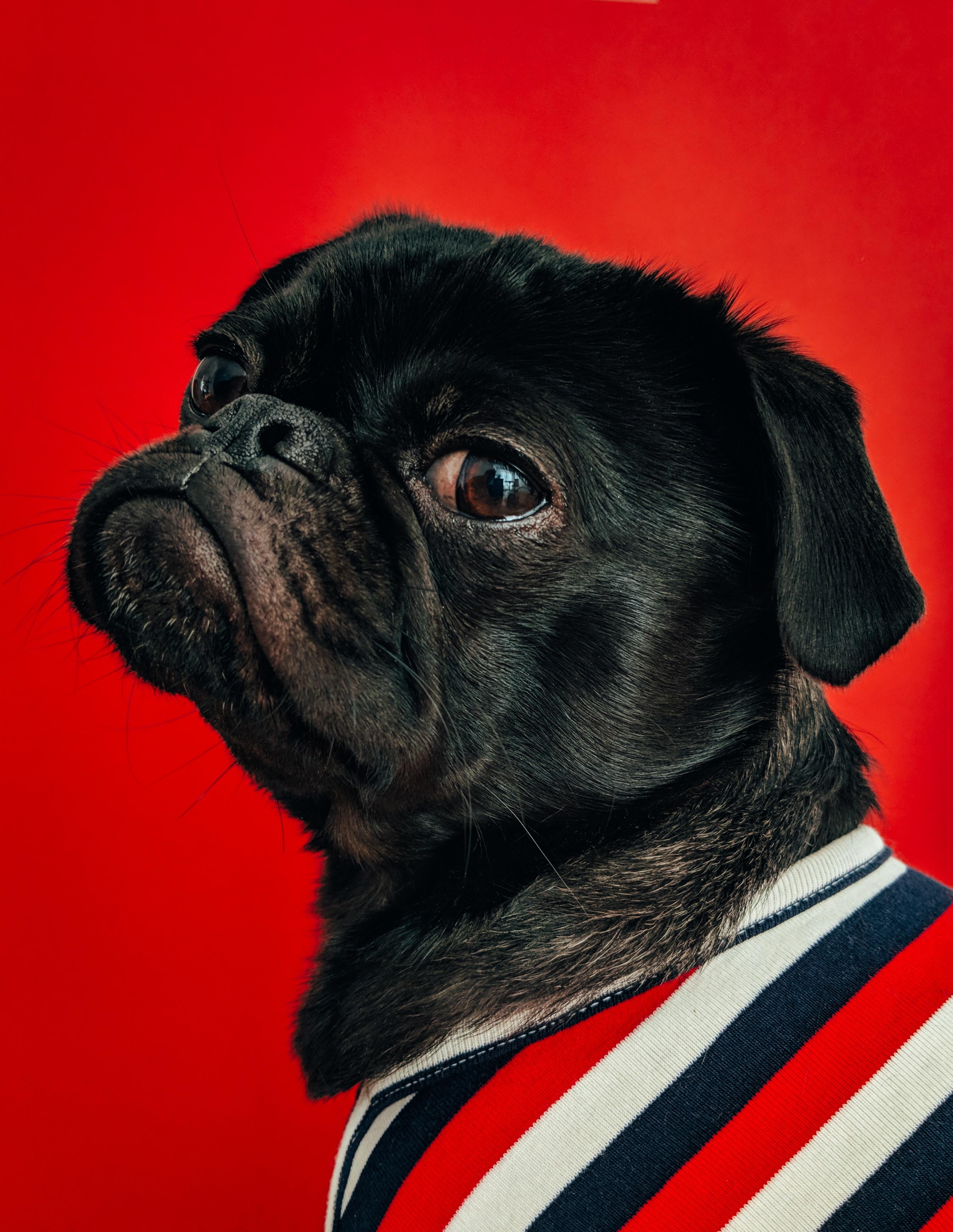 Charles para Unsplash