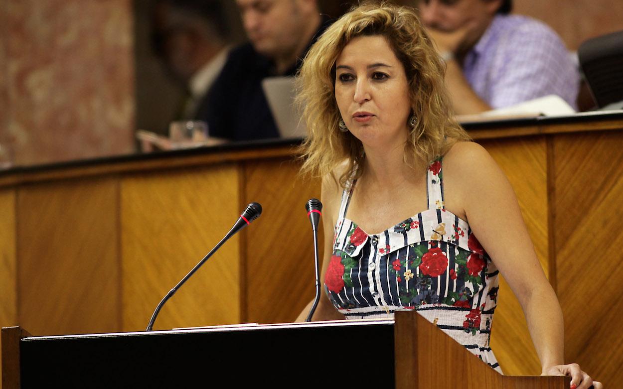 Carmen Lizárraga, cabeza de lista de Más País por Málaga, en un Pleno del Parlamento andaluz.