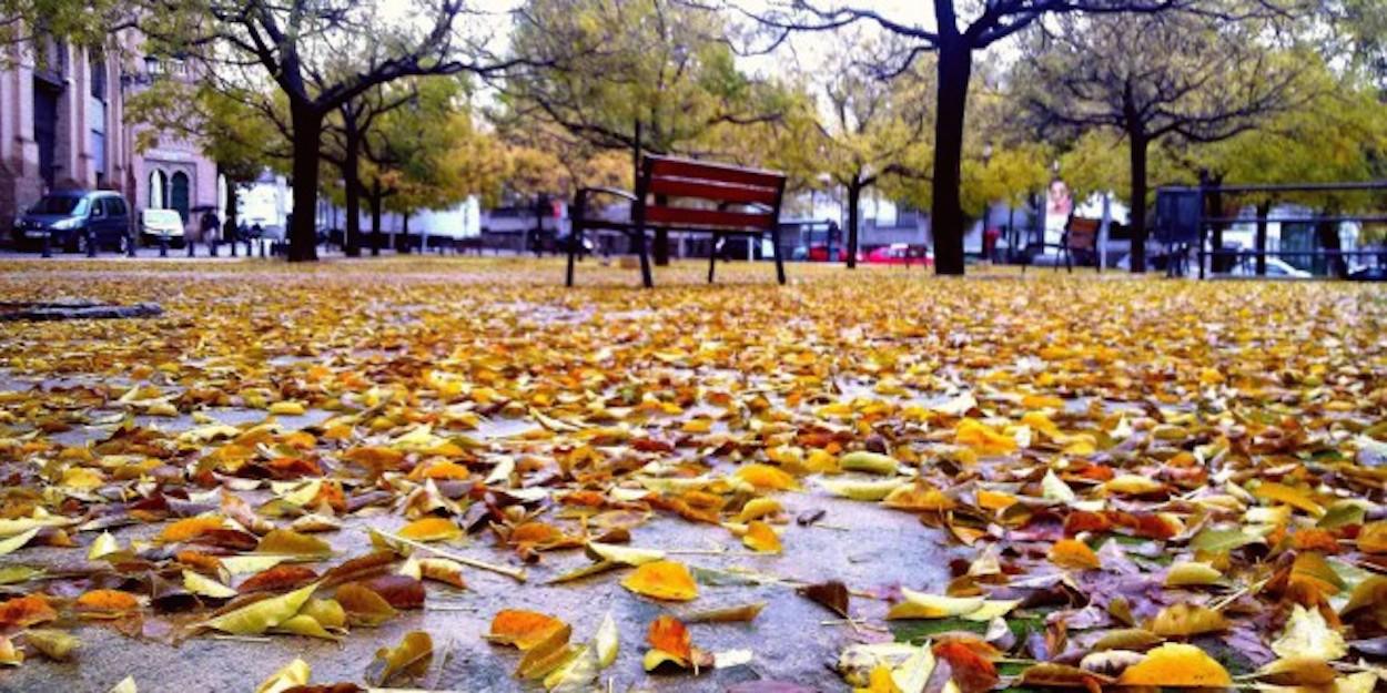 Un parque en otoño. MCV/EL MIRADOR DE ATARFE