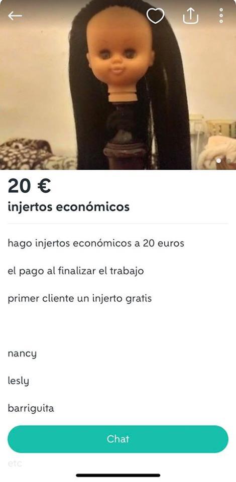 Injertos económicos