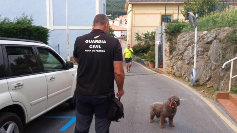 El perro 'Marley' en inspección policial en Castro Urdiales. EP