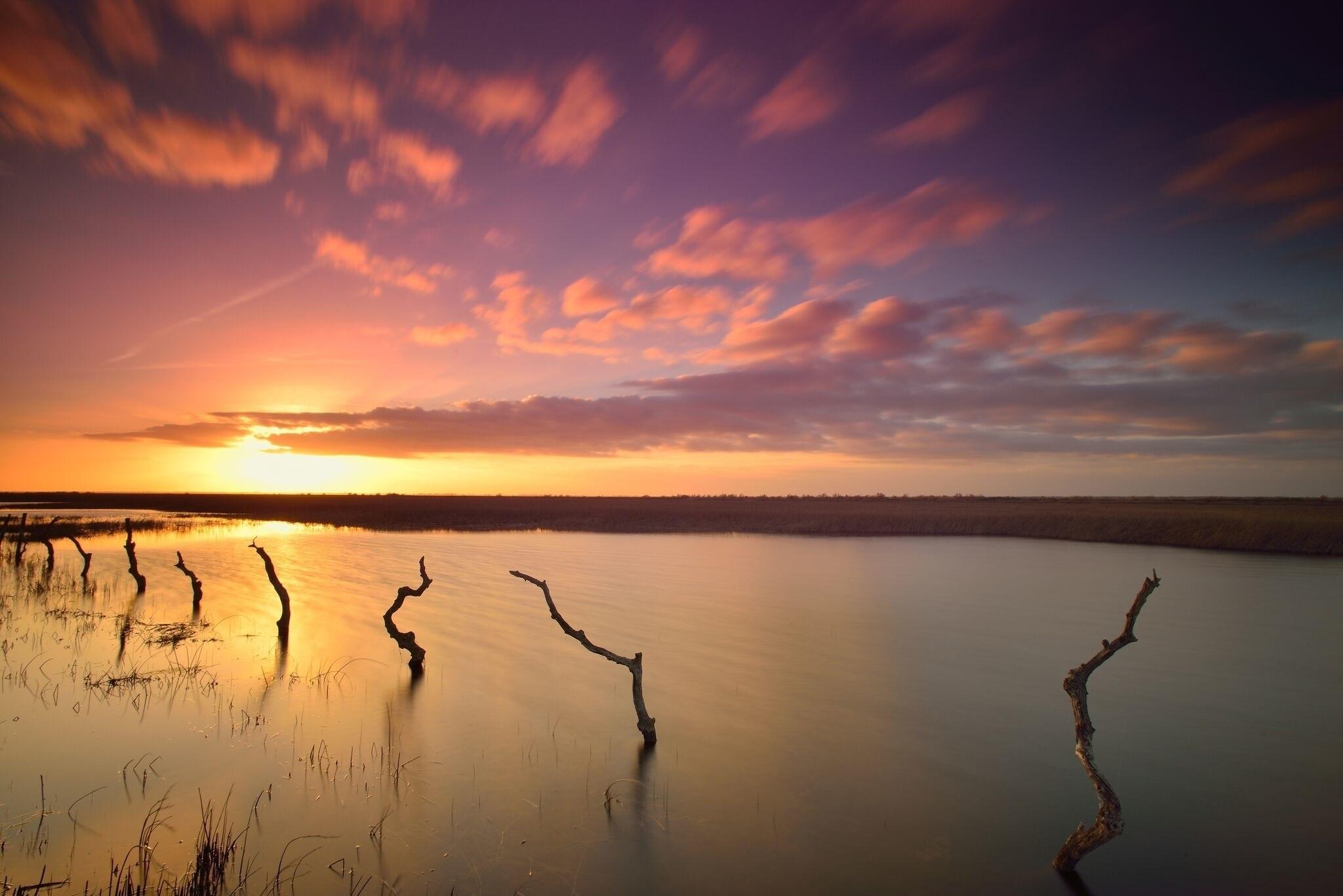 Parque Nacional de Doñana