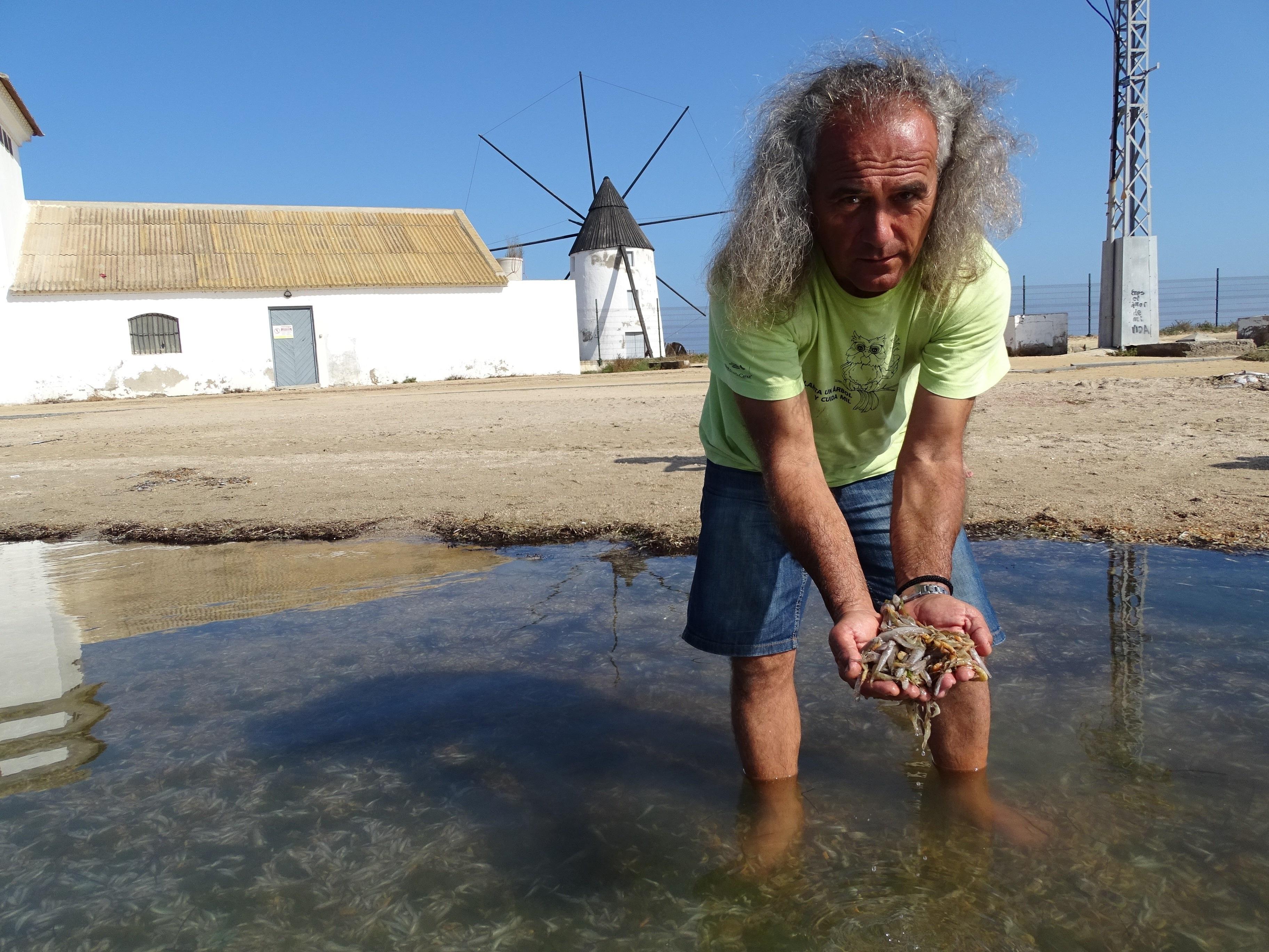 Pedro García de ANSE recogiendo peces muertos en el Mar Menor