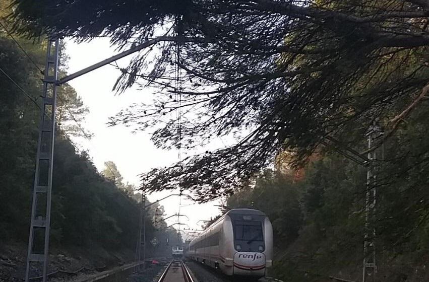 Corte de vía por la tala intencionada de un árbol