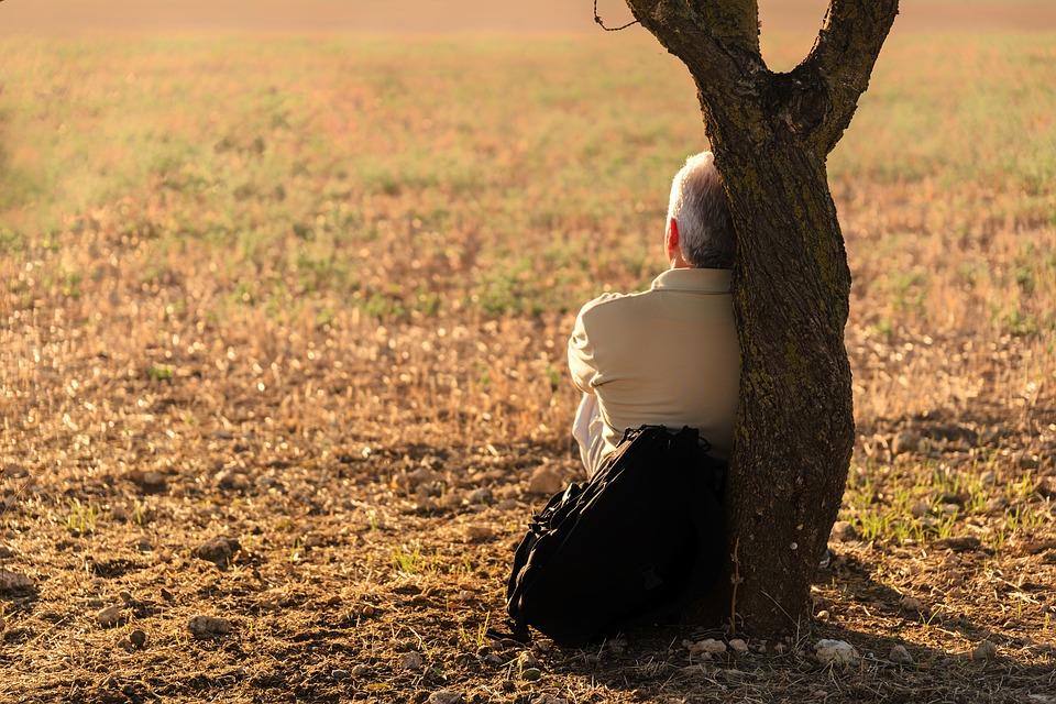 Un hombre solo sentado junto a un árbol. Fuente: Pixabay