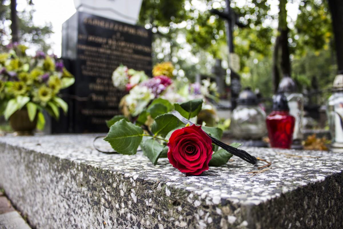 La venta de flores por el Día de Todos los Santos es más corta en precios y producción