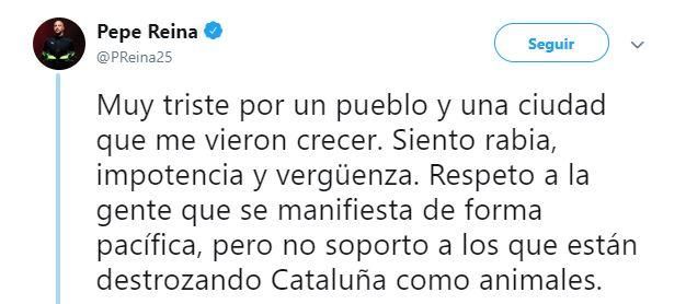 Captura de pantalla del tuit de Reina. Captura de pantalla del tuit de Reina.