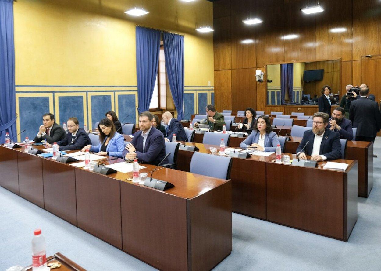 Una de las sesiones de la comisión parlamentaria de la Faffe.