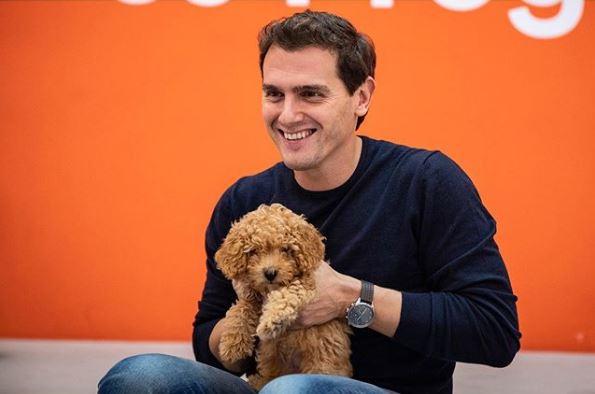 El Perrito De Rivera Mudo En Twitter Tras Las Elecciones