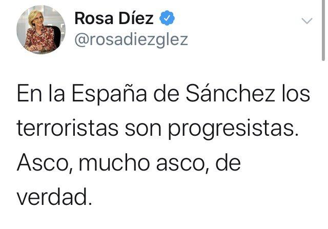 Tuit Rosa Díez 2 Tuit Rosa Díez 2