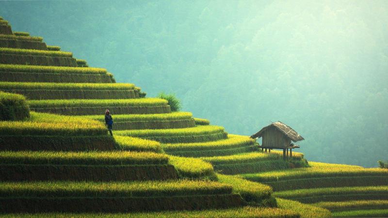 Bali. Pixabay Bali. Pixabay