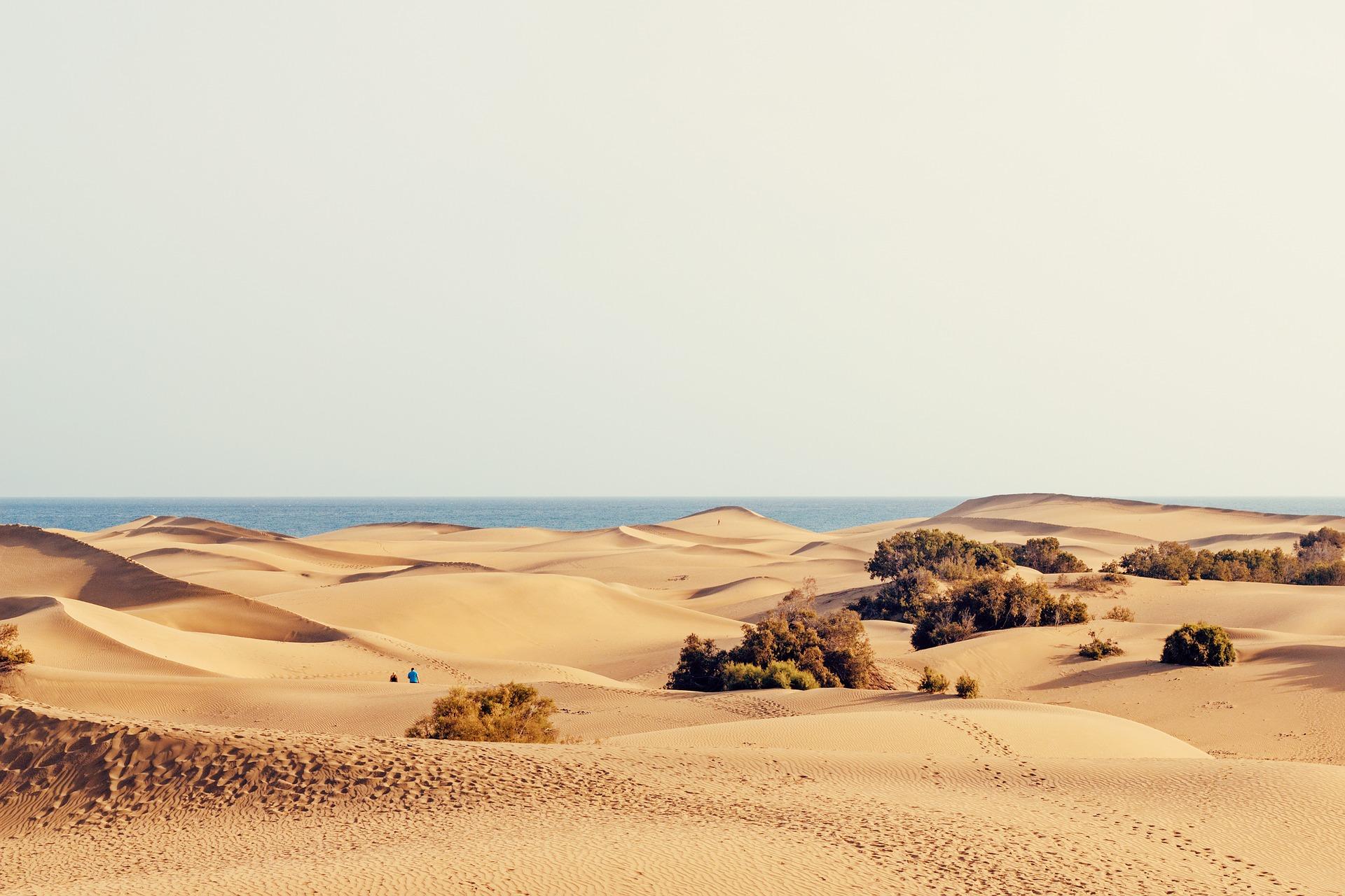 Dunas, playa en invierno. Pixabay