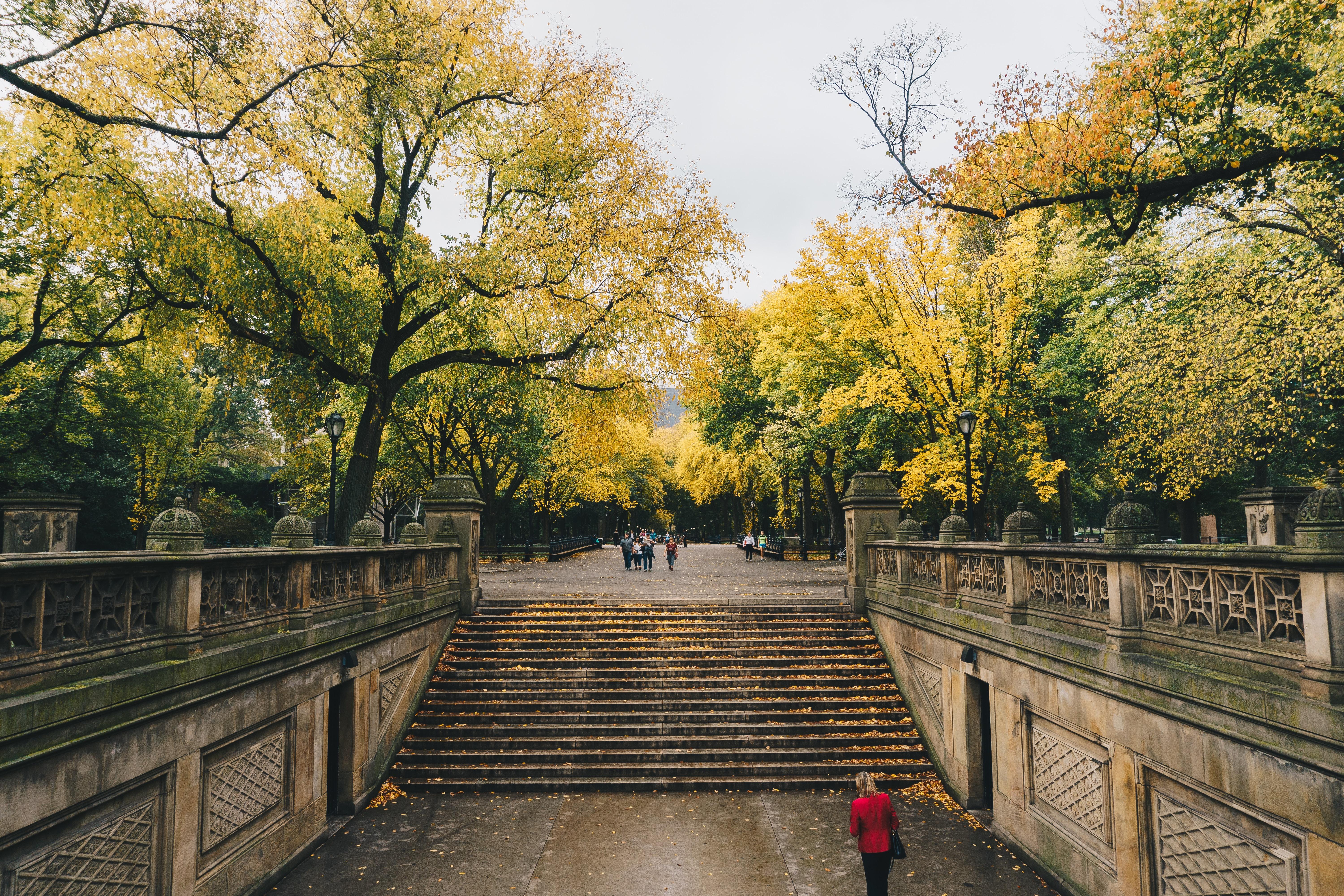 Juan di Nella para Unsplash