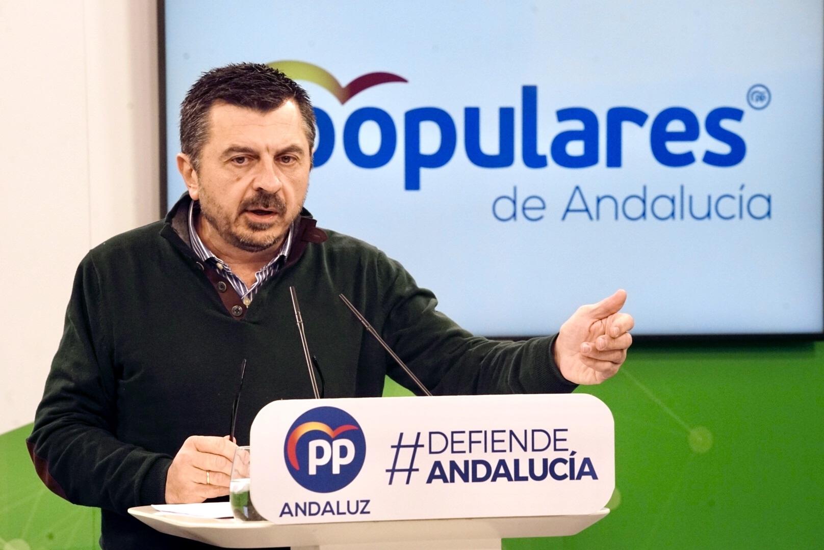 El vicesecretario general del PP A Toni Martín este domingo