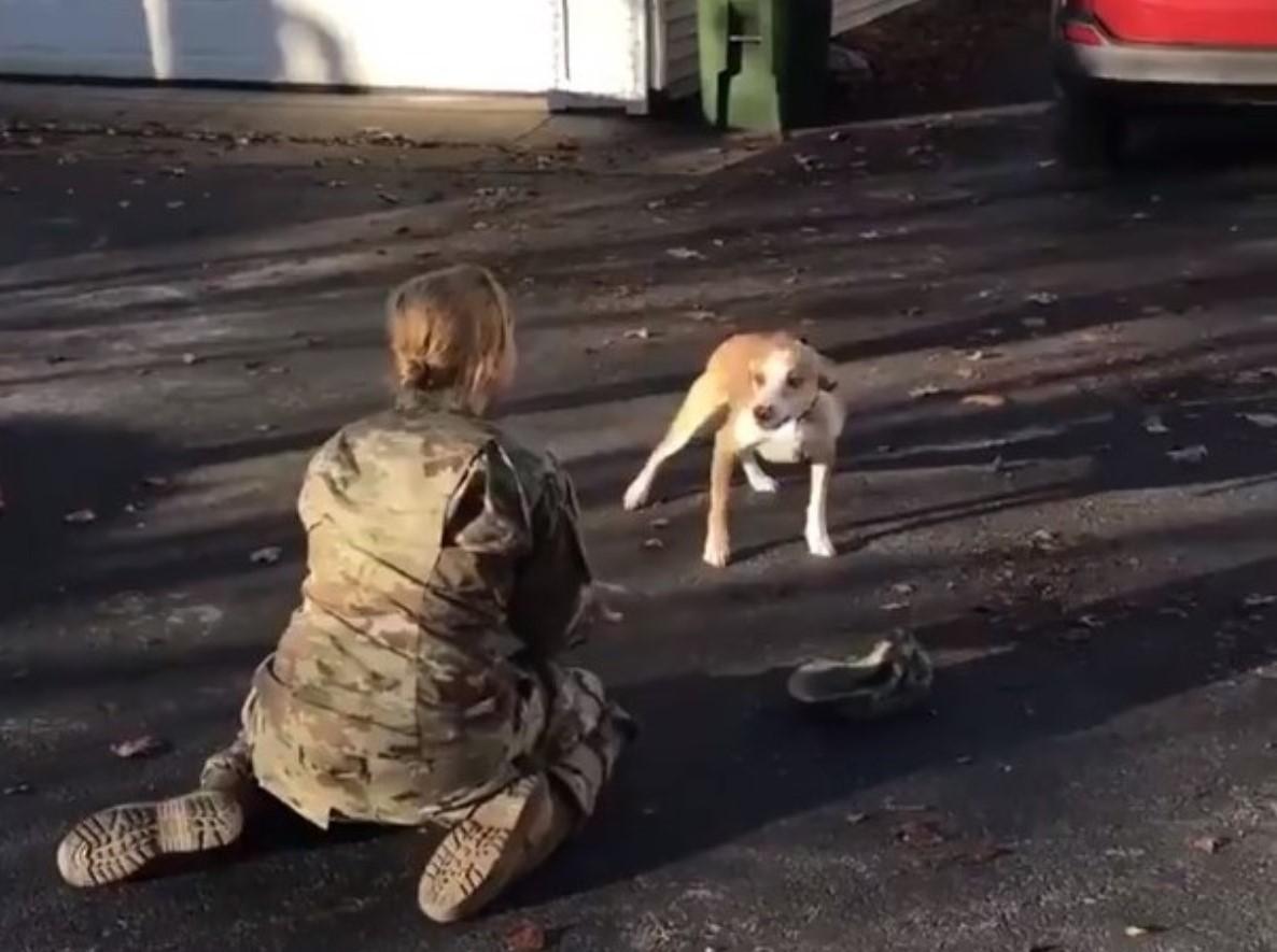 La dueña se reencuentra con su perro después de dos años. Twitter