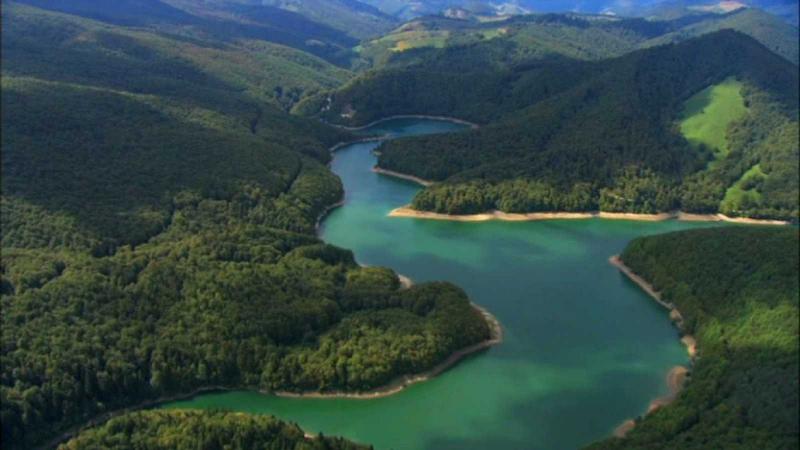 Selva de Irati. Fuente RTVE