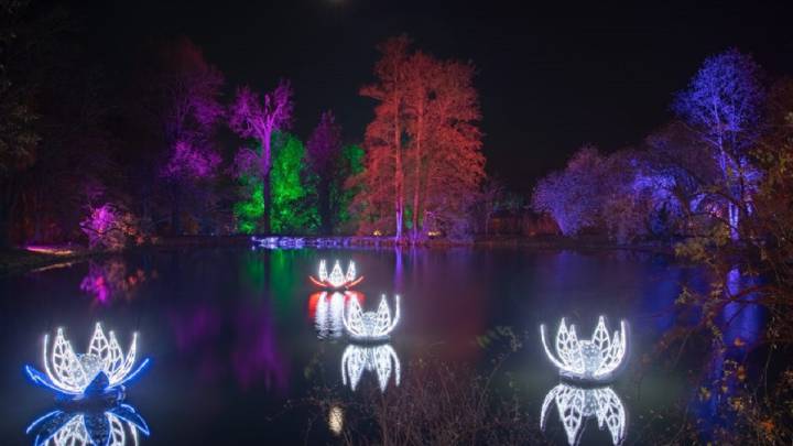 Las luces del Jardín Botánico de Madrid en estas navidades